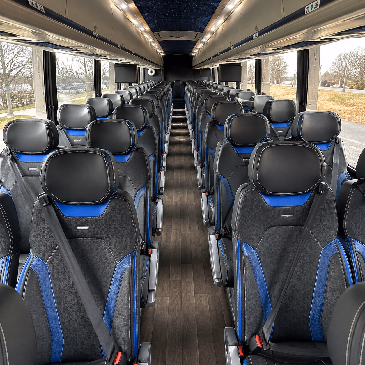 roswell concert transportation made easy